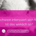 Kundengewinnung-Expertenmarketing-kein-schwein-interessiert-sich-fuer-mich