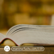 Martina-Fuchs-Bestseller-Von-der-Idee-zum-Buch-zum-Bestseller-Buch-schreiben