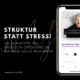 Struktur statt Stress-Ordnung im Solo-Business-Susanne Schaffer-Martina Fuchs